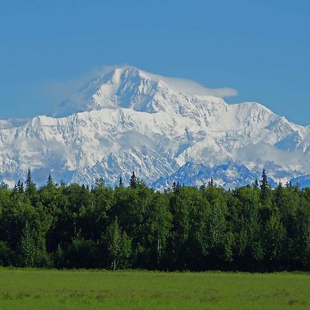 Mckinley View B&B Trapper Creek Extérieur photo